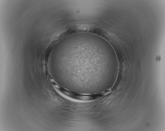 X0000090431394200707272121