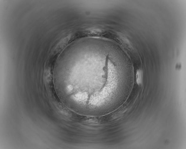 X0000090431395200707272121