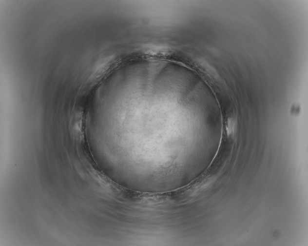 X0000090431396200707272121