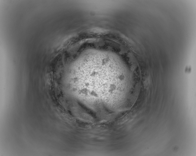 X0000090431397200707272121