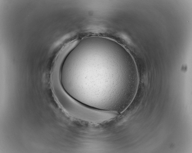 X0000090431398200707272121