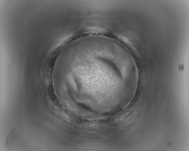 X0000090431399200707272121