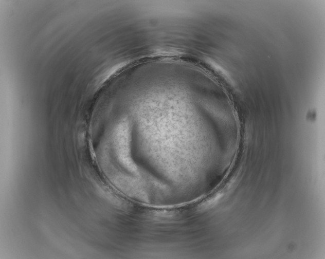 X0000090431401200707272121