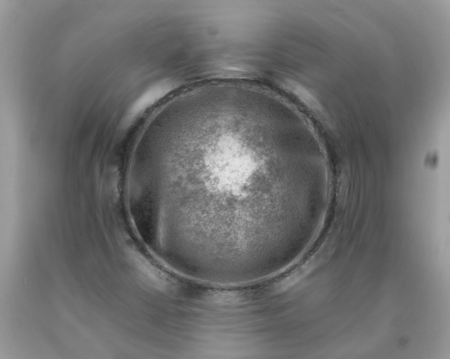 X0000090431402200707272121