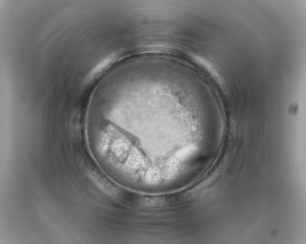 X0000090431403200707272122