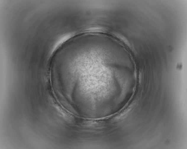 X0000090431405200707272122