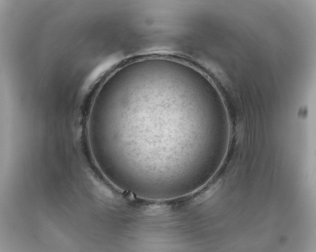 X0000090431406200707272122