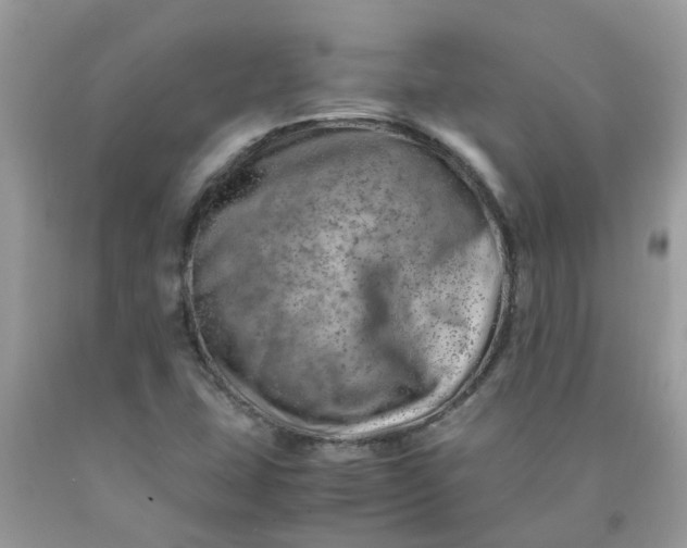 X0000090431407200707272122