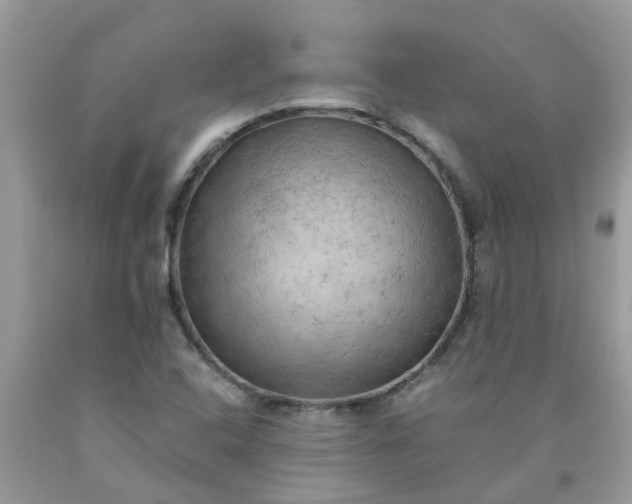 X0000090431408200707272122