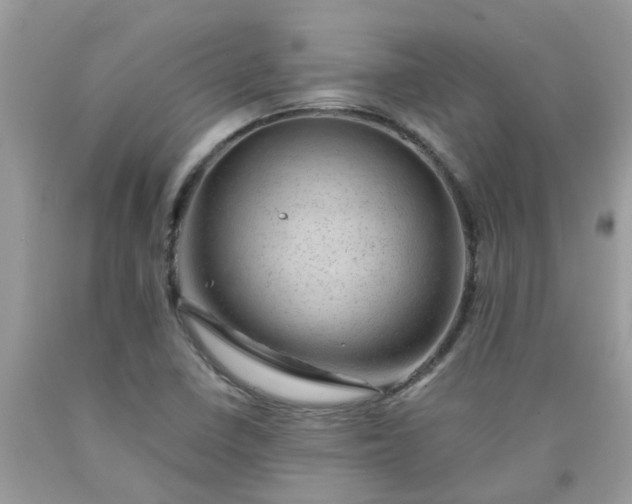 X0000090431410200707272122