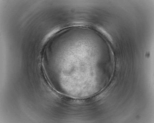 X0000090431411200707272122