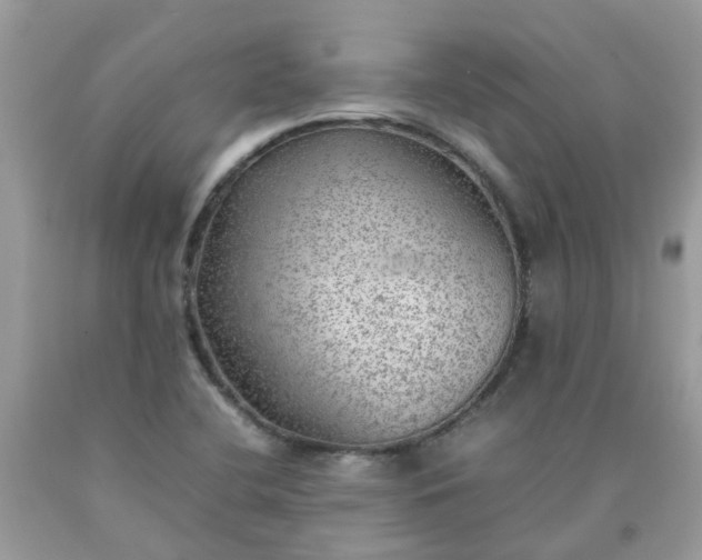 X0000090431412200707272122