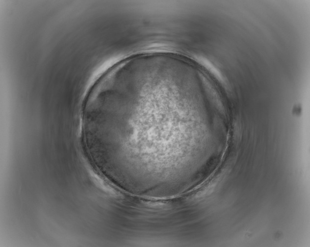 X0000090431413200707272122