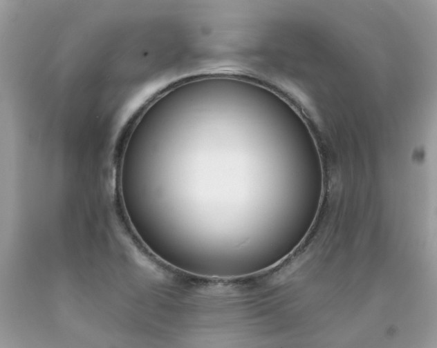 X0000090431414200707272122