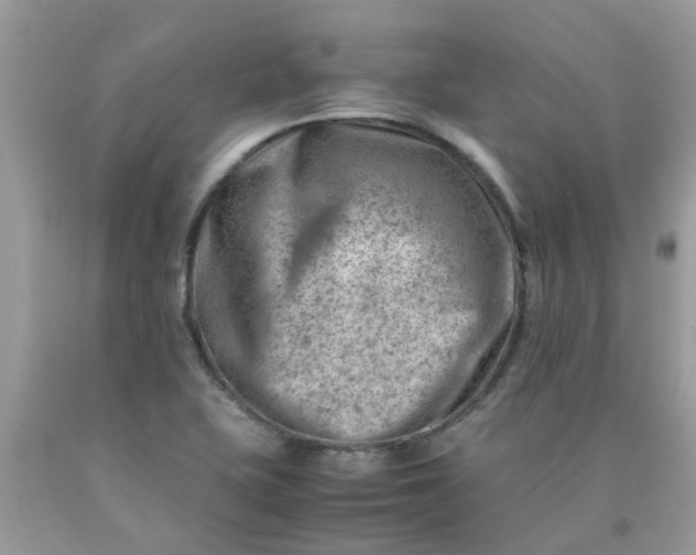 X0000090431415200707272122