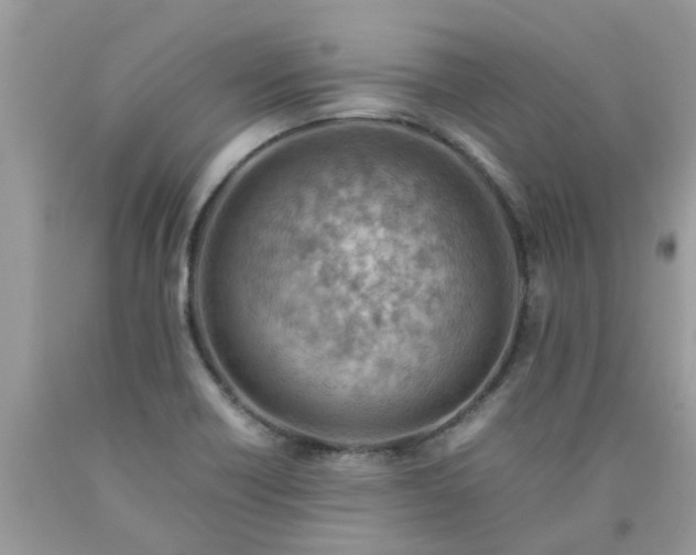 X0000090431418200707272122