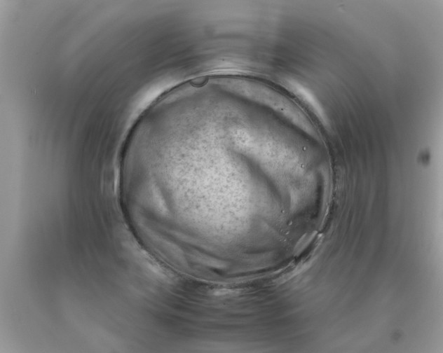 X0000090431419200707272122