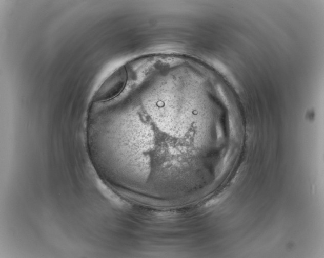 X0000090431421200707272122