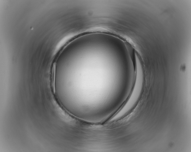 X0000090431422200707272122