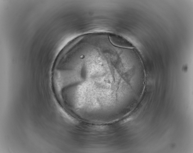 X0000090431423200707272122