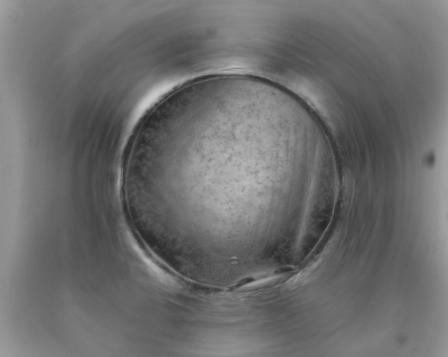 X0000090431424200707272122