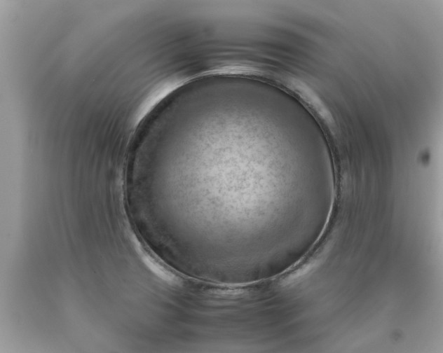 X0000090431425200707272122