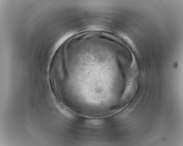 X0000090431427200707272122