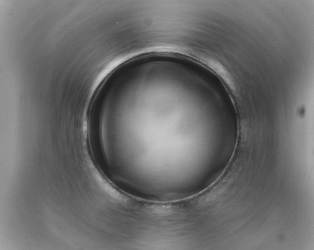 X0000090431428200707272122