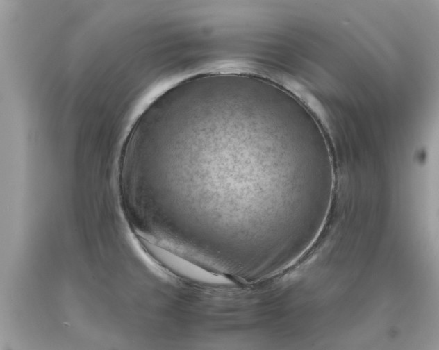 X0000090431429200707272122