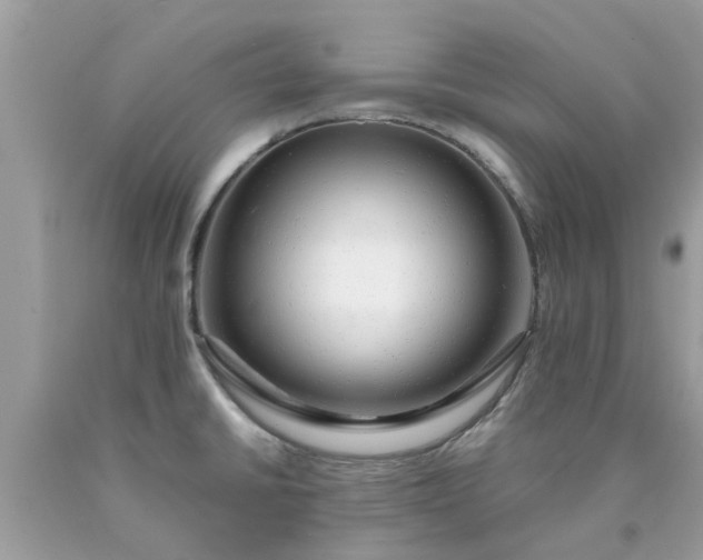 X0000090431430200707272122