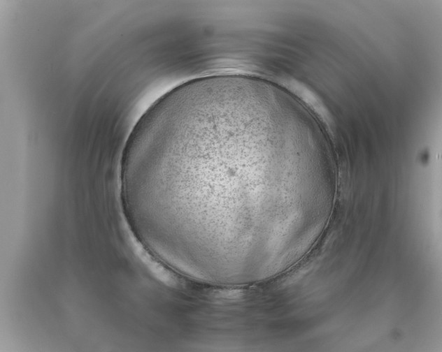 X0000090431431200707272122