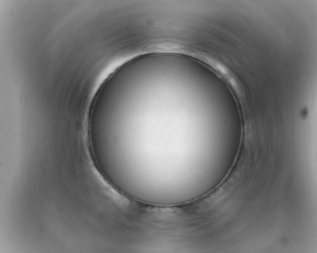 X0000090431432200707272122