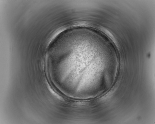 X0000090431433200707272122