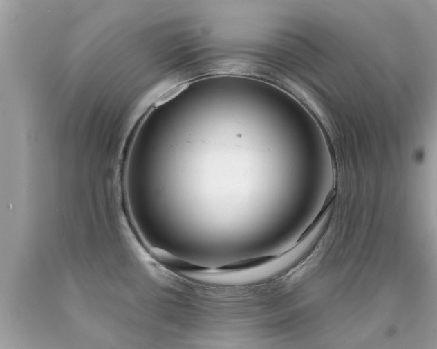 X0000090431434200707272122