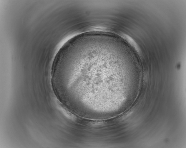 X0000090431435200707272122