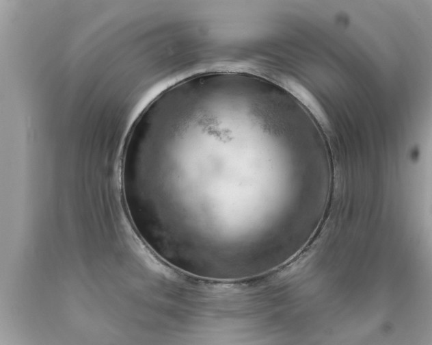 X0000090431436200707272122