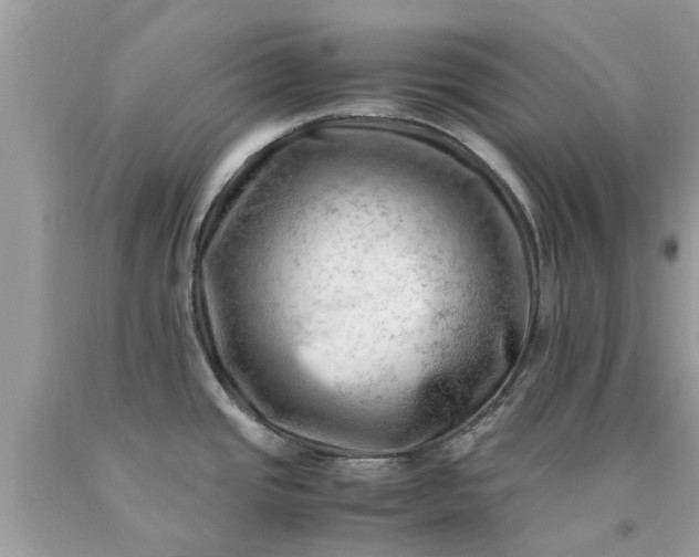 X0000090431437200707272122