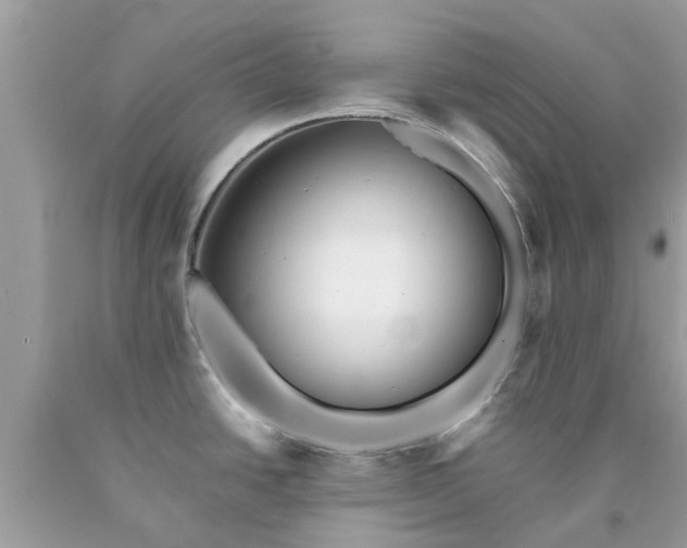 X0000090431438200707272122