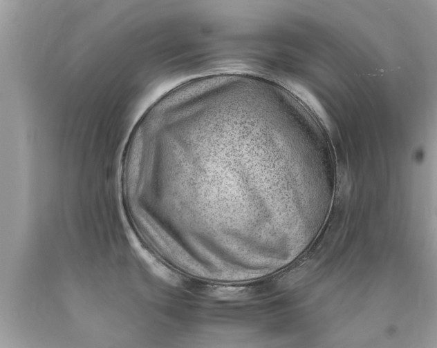 X0000090431439200707272122