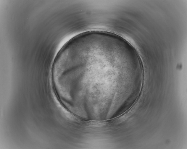 X0000090431440200707272122