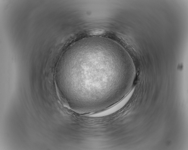 X0000090431441200707272121