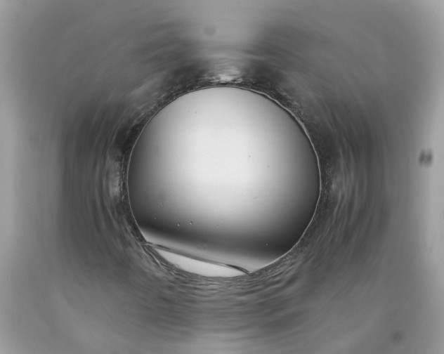 X0000090431442200707272121