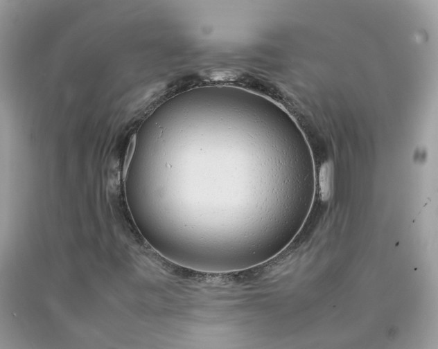 X0000090431443200707272121