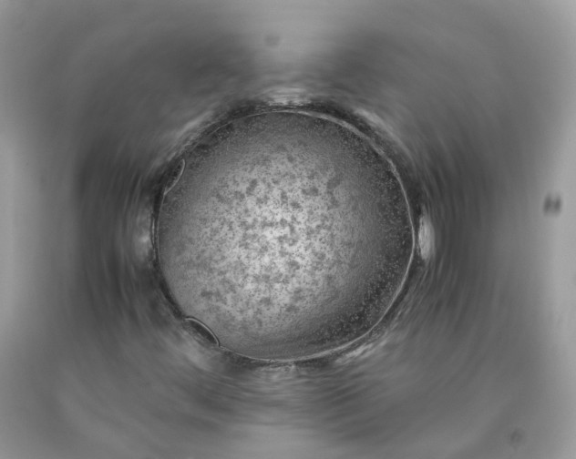 X0000090431444200707272121