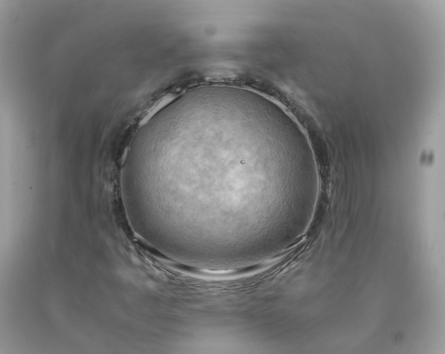 X0000090431445200707272121