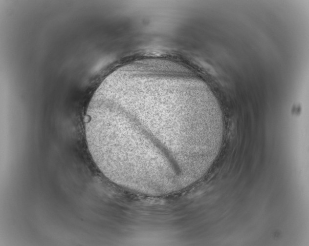 X0000090431446200707272121