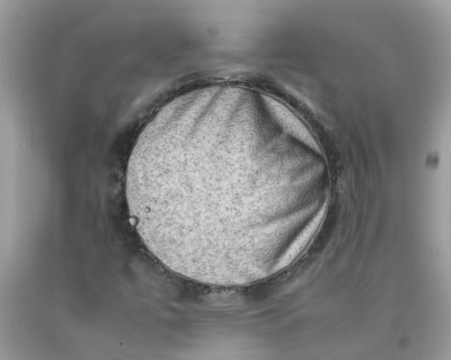 X0000090431447200707272121