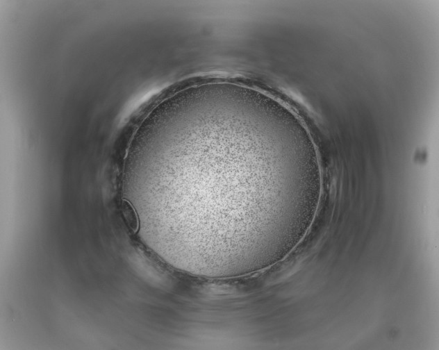 X0000090431448200707272121