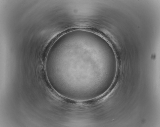 X0000090431449200707272121