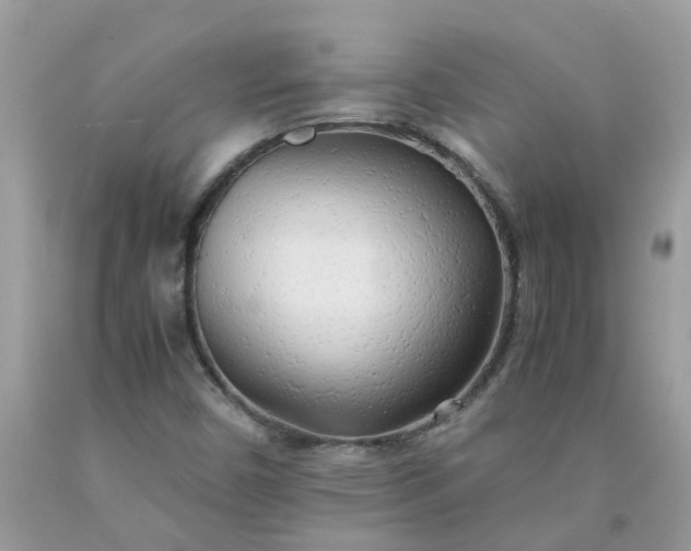 X0000090431450200707272121